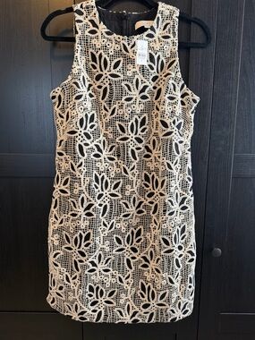 NWT LOFT DRESS